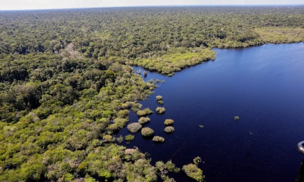 &quot;Andes-SN tem papel central no enfrentamento ao imperialismo na Amazônia&quot;, diz docente da UFF